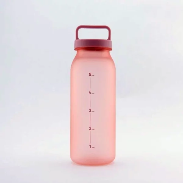 Handled Water Bottle/Brew Bottle